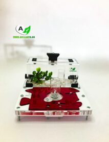 Hormiguero Seta Invertida