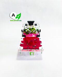  HORMIGUERO Tipo Seta 10x15 tienda quillants.co