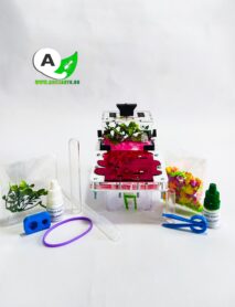 HORMIGUERO tipo seta 10x15