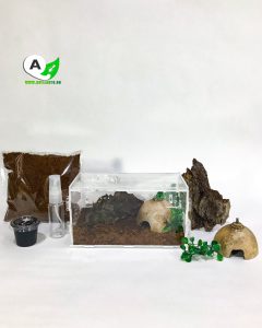 Terrario Tarántula envío GRATIS tienda quillants