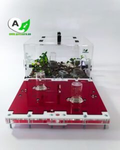 Combo Modular Advanced Envio GRATIS tienda quillants