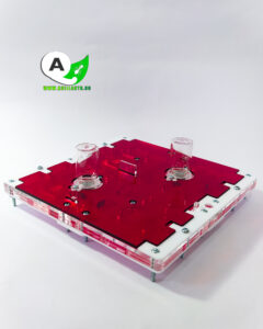 Hormiguero Modular Seta invertida 20x20 tienda quillants