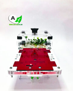 Combo Modular Seta Envio GRATIS tienda quillants