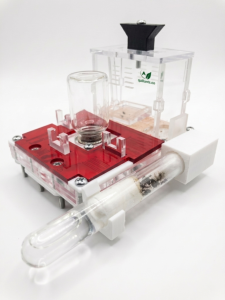 Hormiguero Kit Básico Quillants con Plantilla Natura texturizada